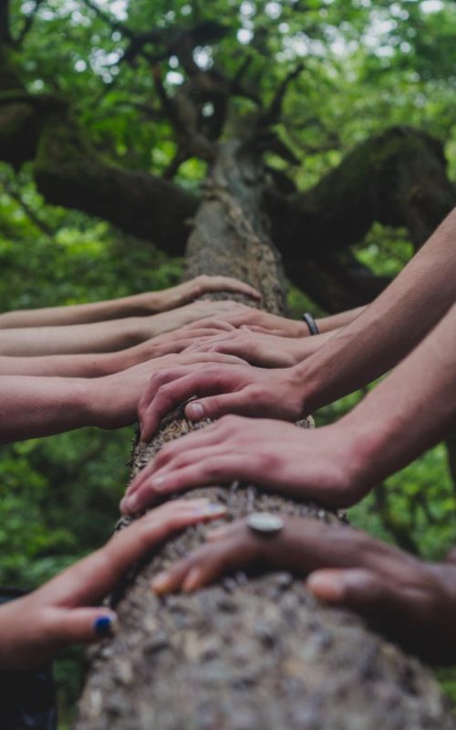 shane-rounce-DNkoNXQti3c-unsplash shane-rounce-DNkoNXQti3c-unsplash