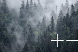 Post, Lent article, Paul Foth (wecompress.com)