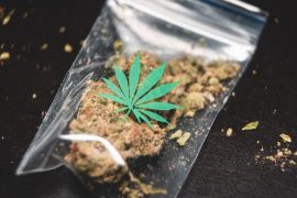 cannabis-resource