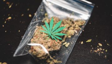 cannabis-resource