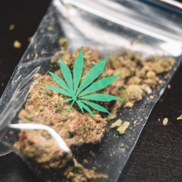 cannabis-resource