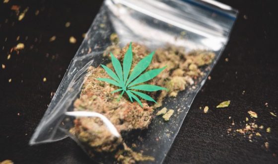cannabis-resource