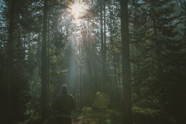 In the Wild In the Wild