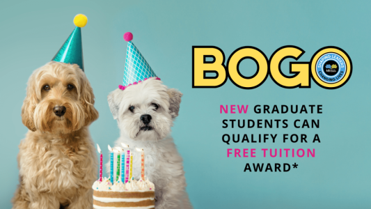 New graduate students can qualify for a free Teaching Church course award during the 2025-26 academic year.