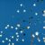 stars-celebrate-kier-unsplash