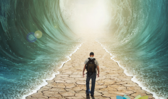 BIB 610 - OT Leadership and Spiritual Formation