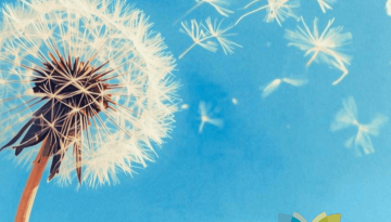 CHP 681, Spiritual Care and MAiD-min